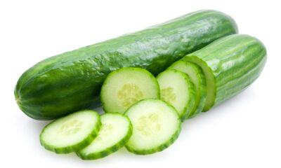 Cucumber Agnesisika blog