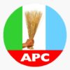 APC election Agnesisika blog