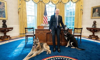 Joe Biden and his dogs Champ and major Agnesisika blog