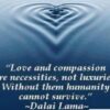 Love and compassion Agnesisika blog