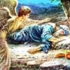 Angel gave Elijah food to reach mountain Agnesisika blog