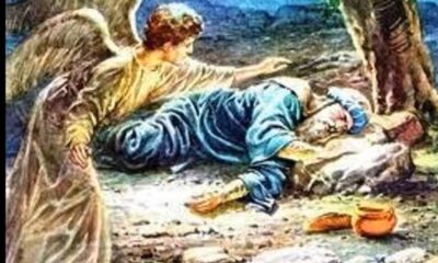 Angel gave Elijah food to reach mountain Agnesisika blog