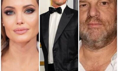 Angelina Jolie , Brad Pitt & Harvey Weinstein Agnesisika blog
