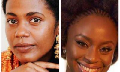 Hurston/wright And Adichie Agnesisika blog