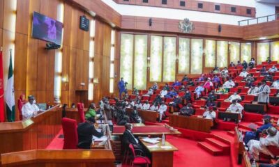 Bill seeking life jail for kidnappers passes second reading at Senate