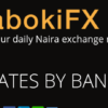 AbokiFX founder, Oniwinde Adedotun, risks 2-years imprisonment, N600,000 fine amid CBN crackdown
