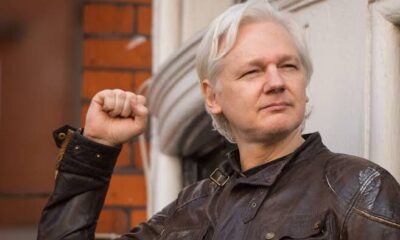 Julian Assange Agnesisika blog