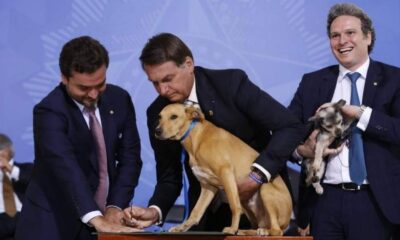Jair Bolsonaro Makes His Dog Agnesisika blog
