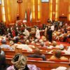 Senate bows to pressure, says INEC can transmit elections electronically