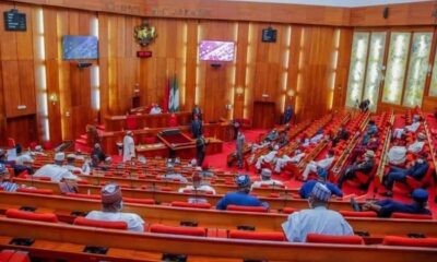 Senate confirms Buhari’s EFCC board nominee who started school before birth