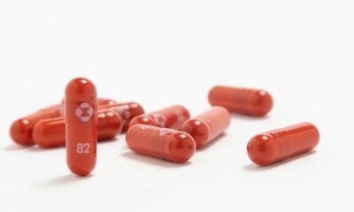 UK Becomes First Country To Approve Anti-Covid Pill Agnesisika blog