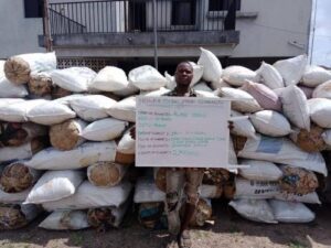 Drug Dealer Behind Cocaine Hidden In Lagos Airport Toilet Arrested Agnesisika blog