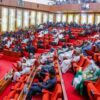 Senate knocks CCT for ignoring corruption cases from CCB Agnesisika blog
