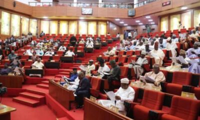 Electoral Bill: Senators Say They Are Ready To Veto Buhari Agnesisika blog