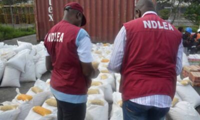 8.3m Tramadol Capsules, 56,782 Bottles Of Codeine Seized By NDLEA In Lagos Agnesisika blog