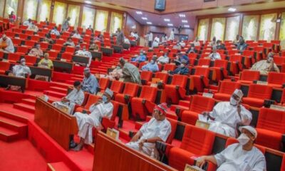 Constitution review: Senate forecloses state creation