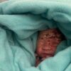 Newborn Baby Boy Found Inside Toilet Bin On Plane As Mum Is Arrested Agnesisikablog