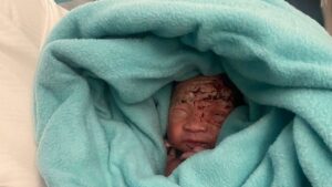 Newborn Baby Boy Found Inside Toilet Bin On Plane As Mum Is Arrested  Agnesisikablog 