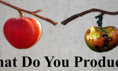 What do you produce