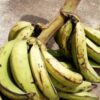 Five UNIUYO Students Arrested As Landlord's Plantain Gets Missing
