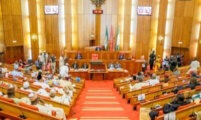 FG loses out, NASS affirms states’ power to collect VAT