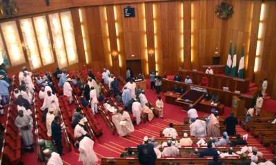 Reps, NNPC intervene as flight cancellations leave passengers stranded
