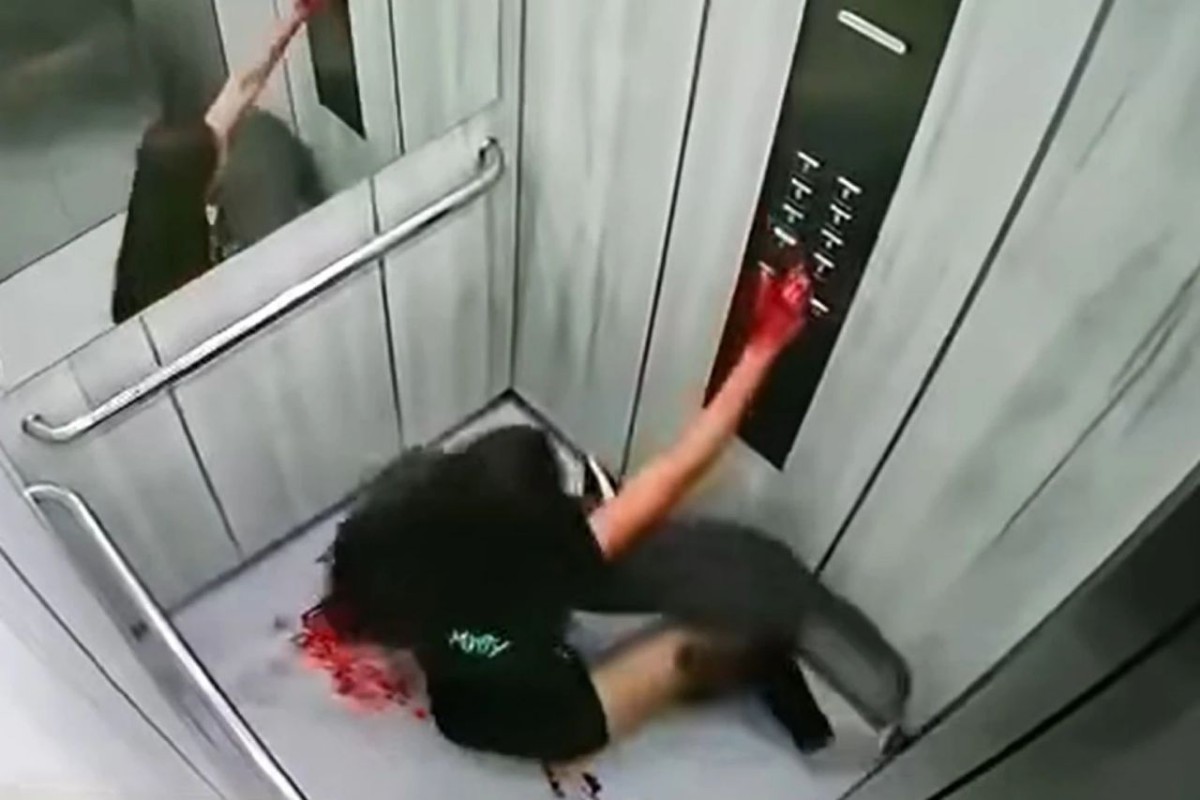 Elevator Camera Captures The Horrific Moment A Pit Bull Attacks A Lady