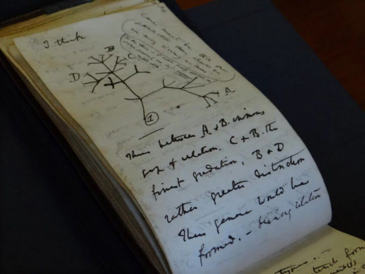 Charles Darwin’s Missing ‘Tree Of Life’ Notebooks Mysteriously Returned After 20 years