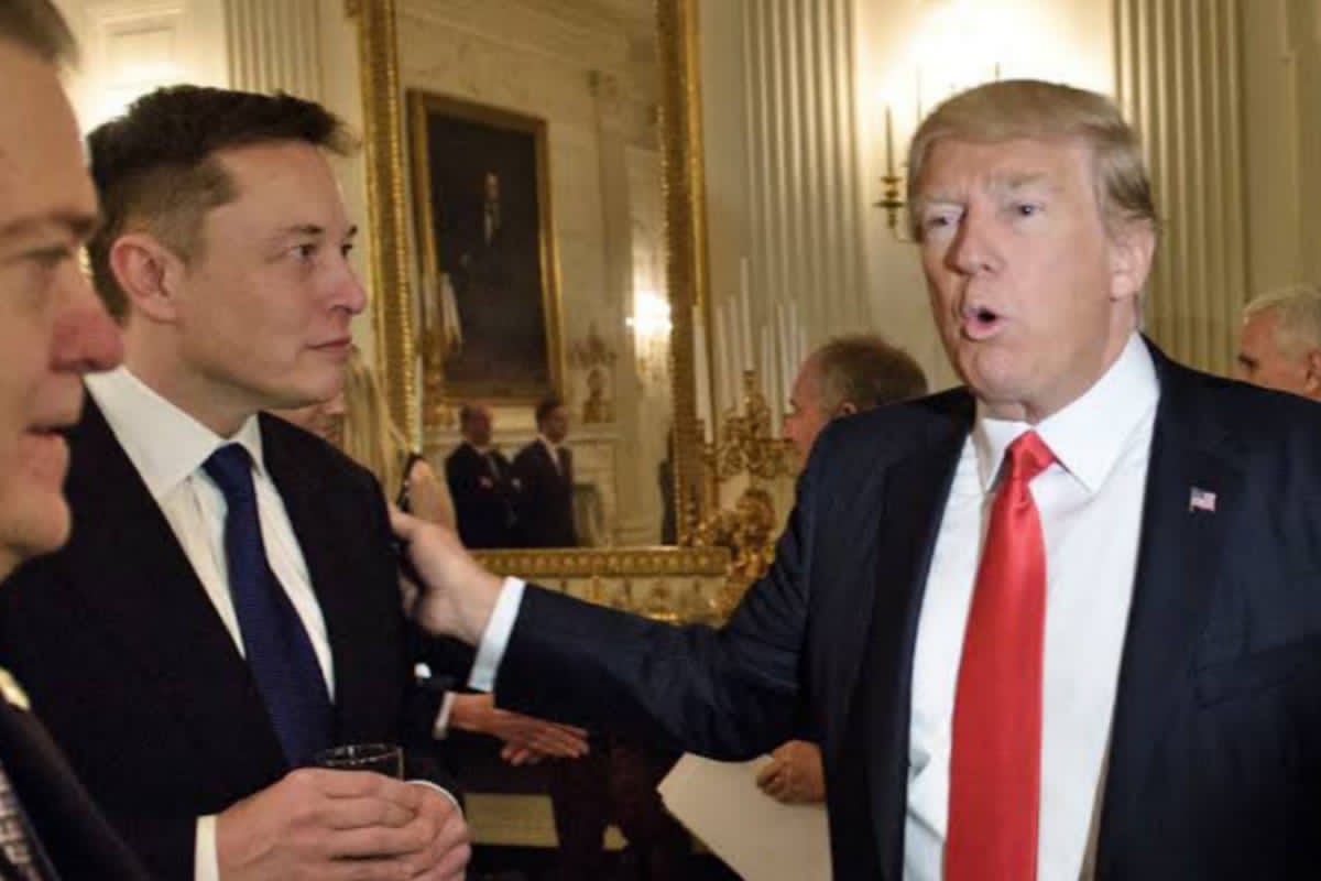 Elon Musk To Lift Twitter's Permanent Ban On Donald Trump