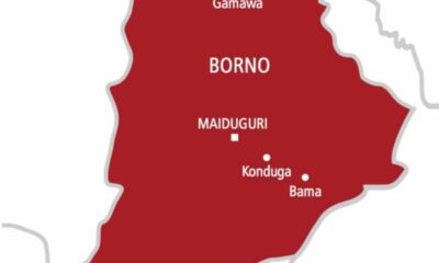 One dead, scores injured as Ndume’s supporters, thugs clash in Borno