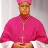 Pope Francis Appoints Bishop Peter Okpaleke, 20 Others As Cardinals
