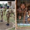 Tension As Gunmen Attack Kuje Prison In Abuja