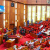 Senate Passes Nigeria Start-Up, Electricity, Social Security Commission Bills