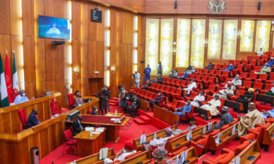 Senate Passes Nigeria Start-Up, Electricity, Social Security Commission Bills
