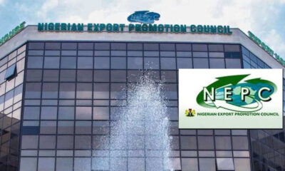 Nigeria’s survival lies with non-oil sector – NEPC