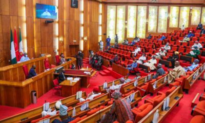 Senate Postpones Passage Of 2023 Budget