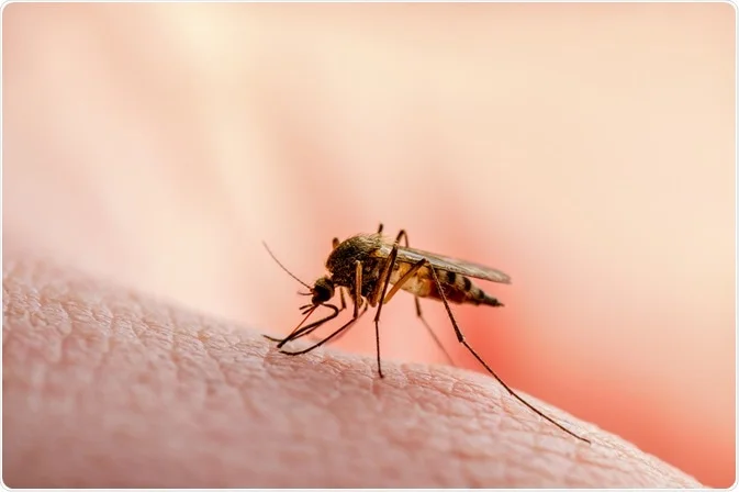 US earmarks $68m to fight malaria in Nigeria