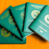 Nigerian passport falls by 38 places in global ranking