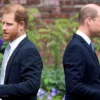 Prince Harry accuses Prince William of physical attack - Report