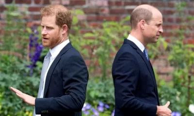 Prince Harry accuses Prince William of physical attack - Report