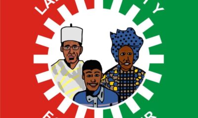 Labour Party cuts gov nomination fees from N25m to 15m