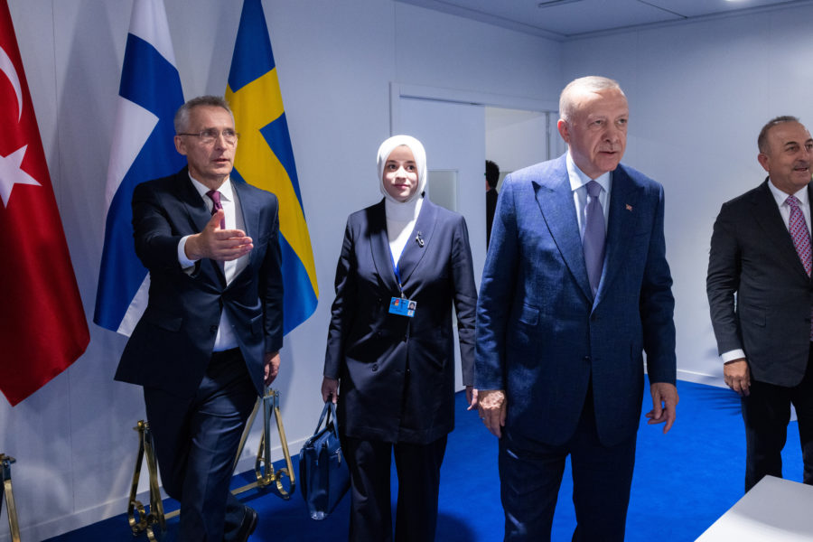 Turkey approves Finland Nato membership bid