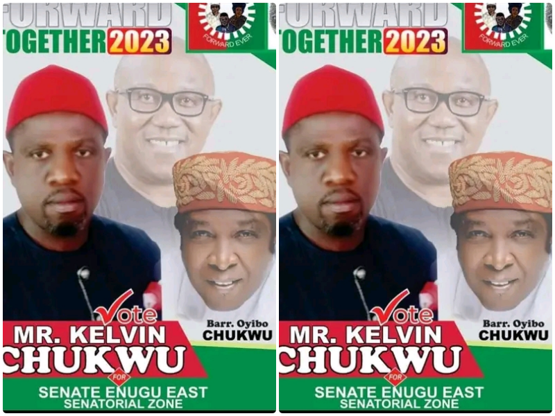 Slain Oyibo Chukwu’s Brother Emerges LP Senatorial Candidate For Enugu East