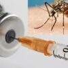 Malaria Vaccine Gets Green Light For Use In Ghana