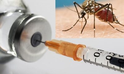 Malaria Vaccine Gets Green Light For Use In Ghana