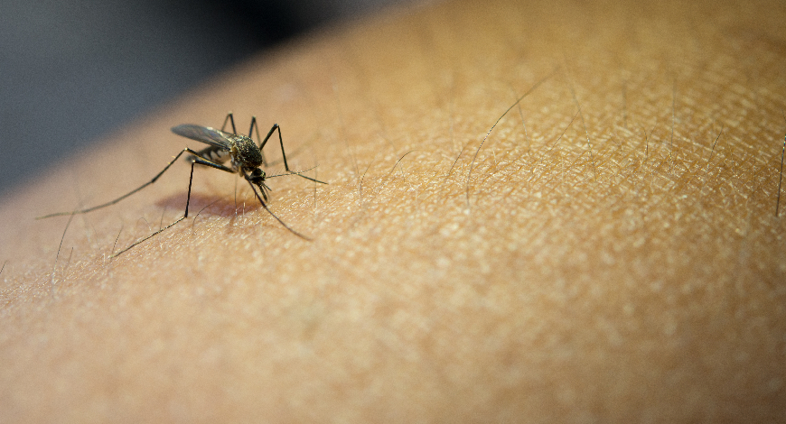 Nigeria records 55 million malaria cases annually – FG