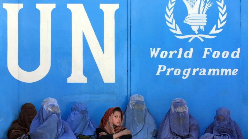 Taliban ban Afghan female staff, UN says