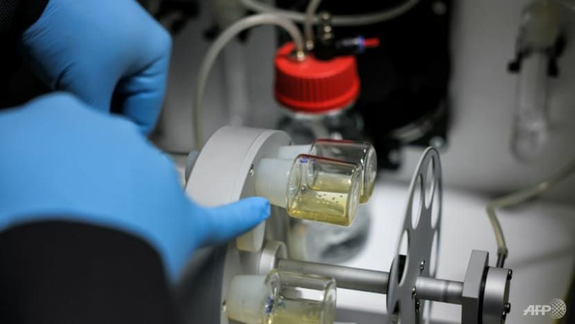 Lab-grown human embryo models spark calls for regulation