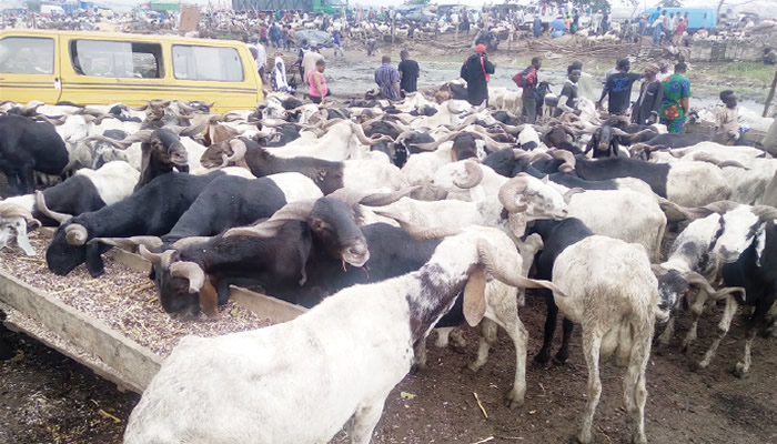 Clerics warn Muslims not to borrow for Sallah ram