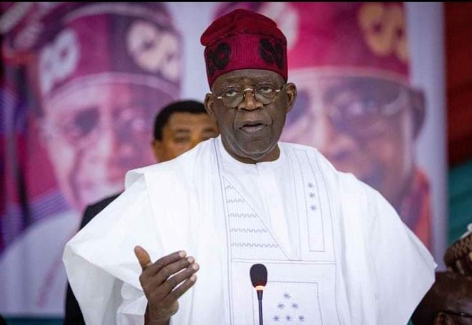 Appointments: Tinubu not ethnic, religious bigot, says group